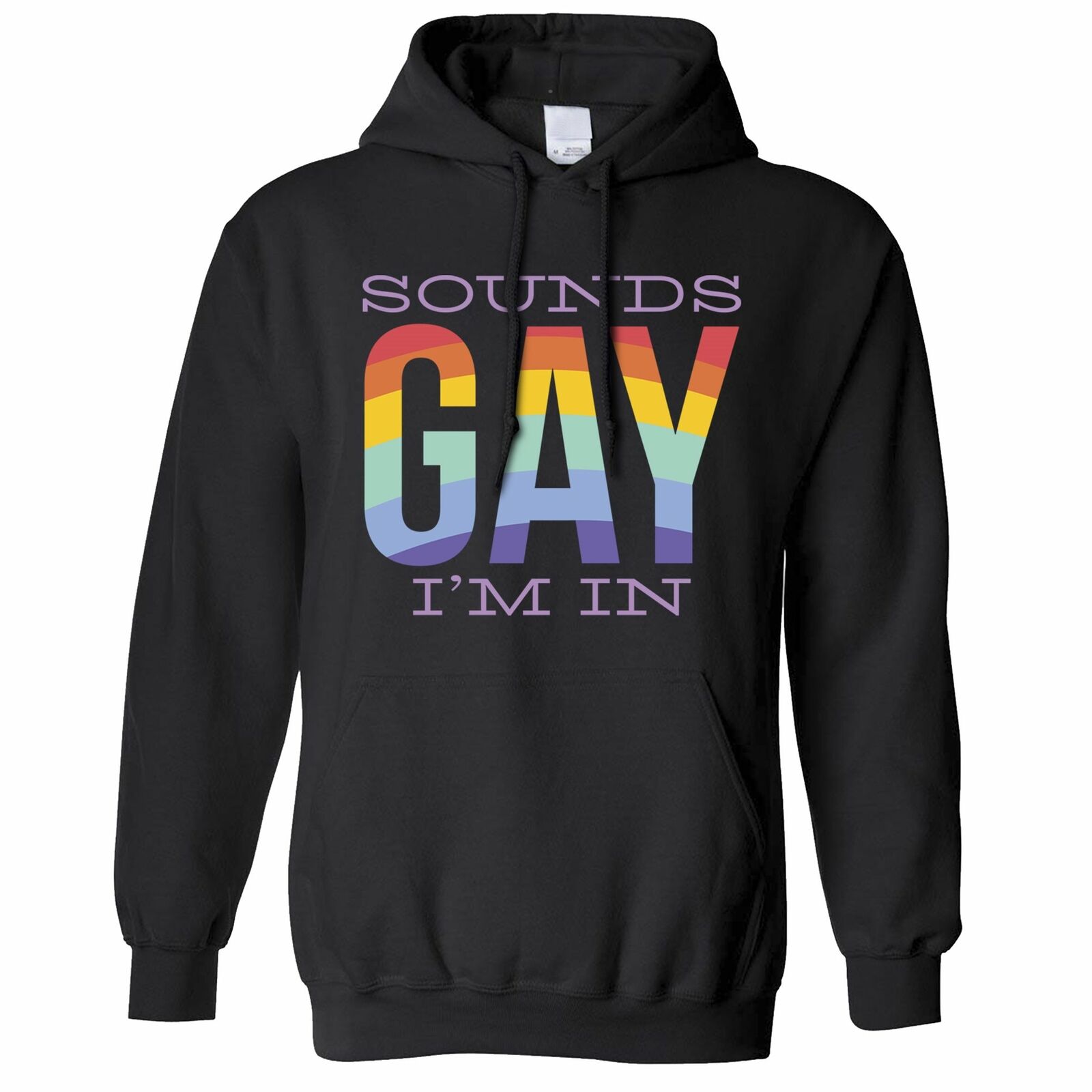 Pride Sounds Gay I'm In Rainbow Homosexual Appreciation Unisex Hoodie