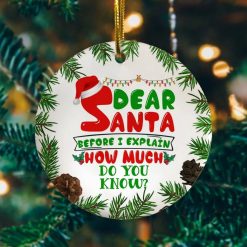 Dear Santa Bee I Explain How Much Do You Know Holiday Christmas 2021 Ornament