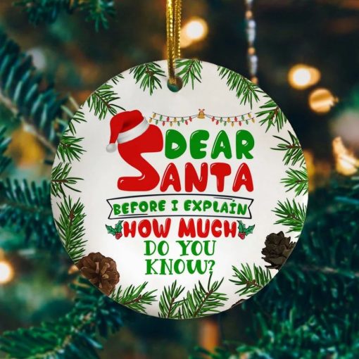 Dear Santa Bee I Explain How Much Do You Know Holiday Christmas 2021 Ornament