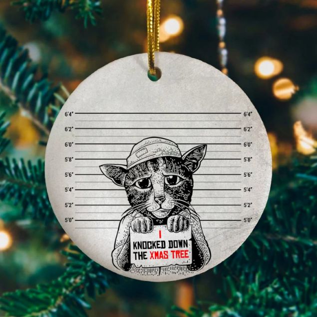 Funny Cat Mugshot Christmas 2021 Ceramic Ornament