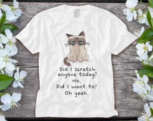 Grumpy Cat Have I Scratched Anyone Today Cat Lover Pet Cat Unisex Adult T-Shirt