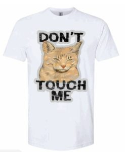 Ladies Dont Touch Me Grumpy Cat Graphic Tee T-Shirt