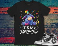 Eeyore Its My Birthday Celebration Tee Unisex Gift T-Shirt