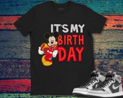 Mickey Mouse Disney Its My Birthday Mickey Birthday Graphic Unisex Gift T-Shirt