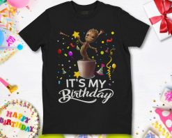 Star Wars Baby Goot Its My Birthday Holiday Birthday Party T-Shirt