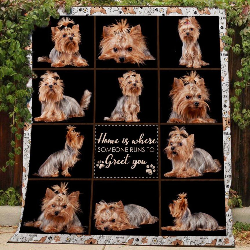 Yorkie Home Is Where Someone Runs To Greet You Quilt Blanket