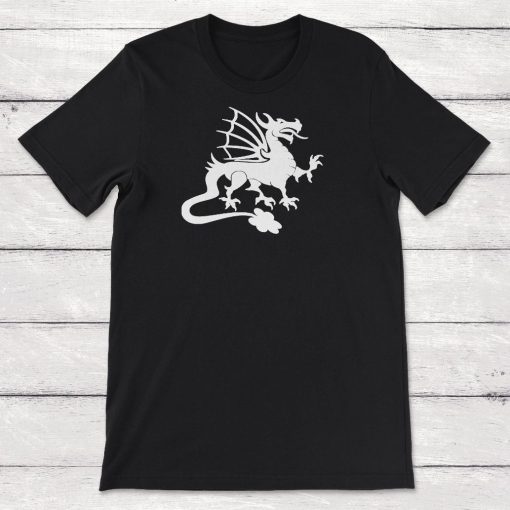 Irish Sun Dragon Unisex T-Shirt