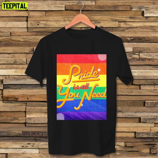 Pride Is All You Need Pride Allyship Happy Pried Month Unisex T-Shirt