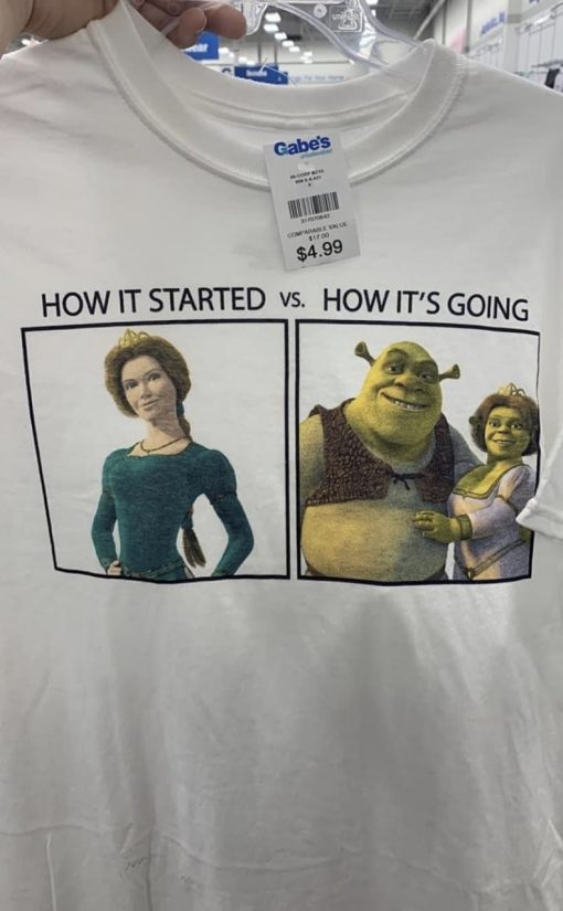 How It Started Vs How It’s Going Fiona And Shrek Unisex T-Shirt