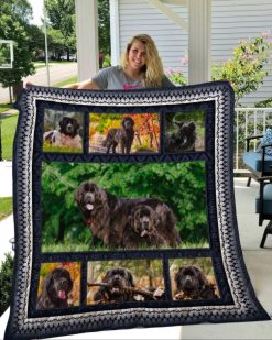 Newfoundland 5 Quilt Blanket