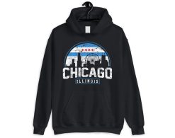 Chicago Illinois Flag Distressed Chicago Illinois Skyline The Windy City Hoodie