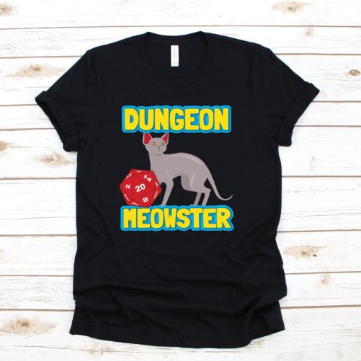 Cool Dungeons And Dragons Lover DM Master Shirt