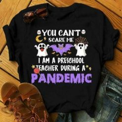 Halloween Ghost You Cant Scare Me I Am A Preschool Teacher T-Shirt