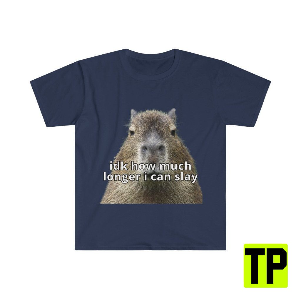 Idk How Much Longer I Can Slay Capybara Meme Unisex Shirt