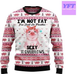 Vintage I’m Not Fat I’m Just So Freakin Sexyy It Overflow 3d Ugly Christmas Sweater