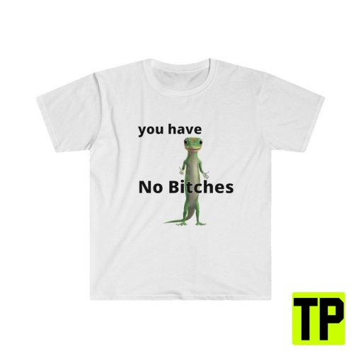 You Have No Bitches Funny Meme Unisex Shirt