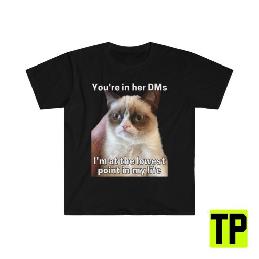 You’re In Her Dms I’m At The Lowest Point In My Life Cat Meme Unisex Shirt