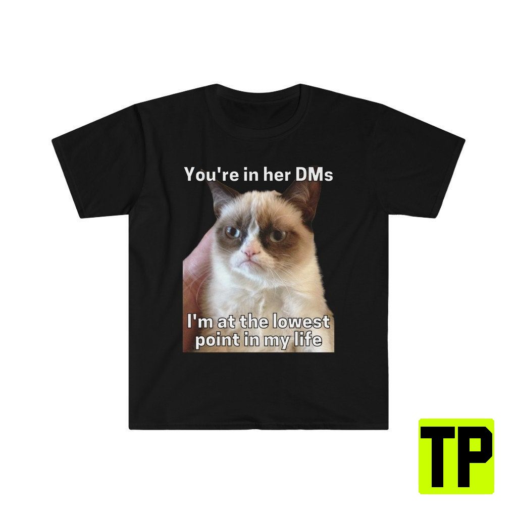 You're In Her Dms I'm At The Lowest Point In My Life Cat Meme Unisex Shirt