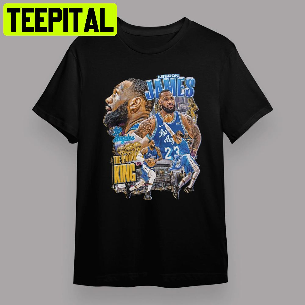 2022 New Portrait Of Lebron James Los Angeles Lakers Unisex T-Shirt –  Teepital – Everyday New Aesthetic Designs