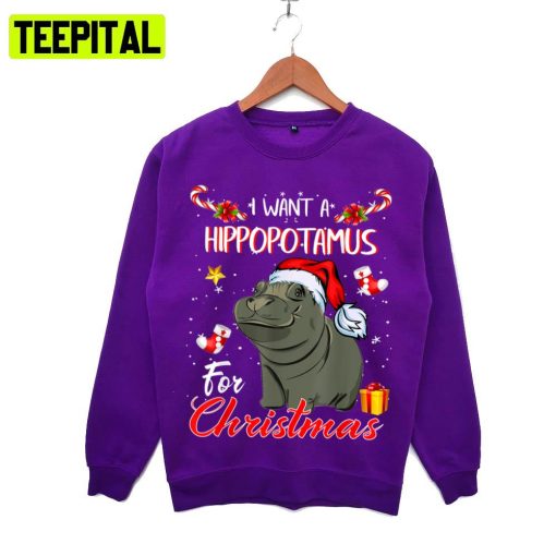 All I Want Is A Hippopotamus For Christmas Hoodie