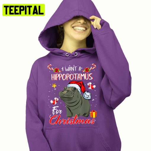 All I Want Is A Hippopotamus For Christmas Hoodie