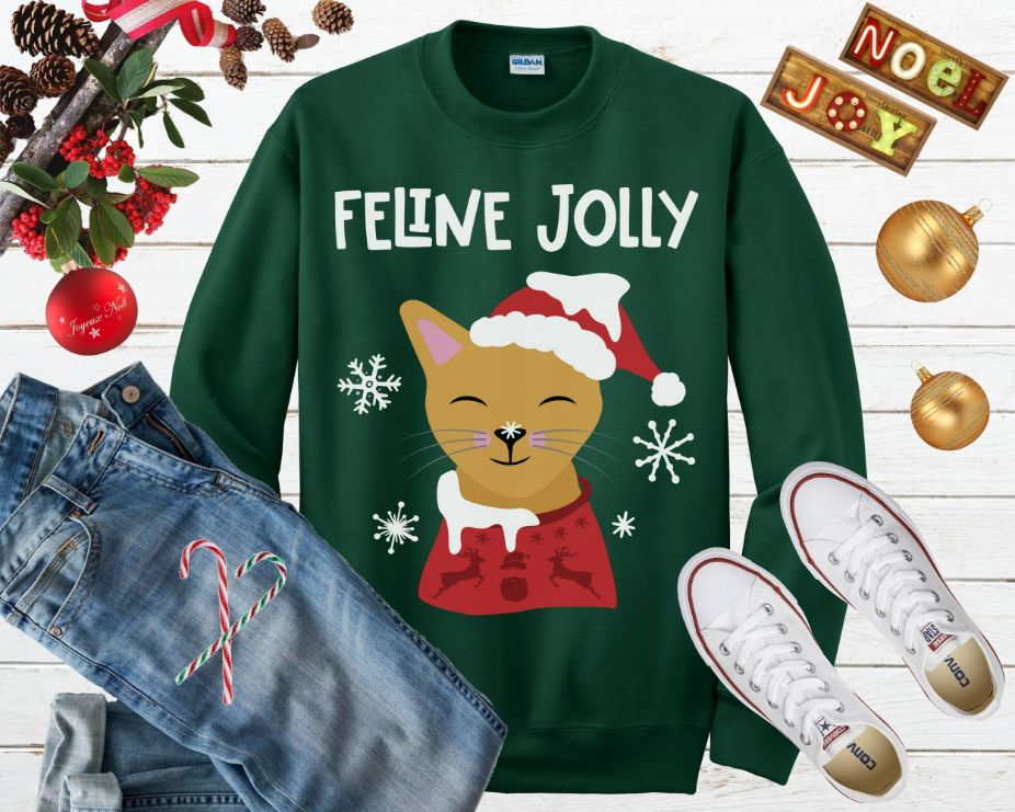 Funny best sale cat sweaters